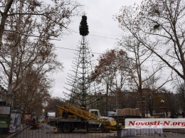 У Каштанового сквера в Николаеве устанавливают елку