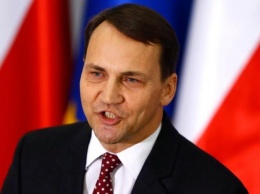 Экс-глава МИД Польши: венгерские политики готовы к силовому захвату Закарпатья