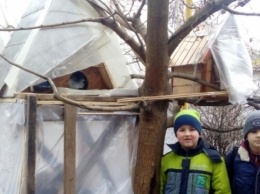 В Запорожской области появилось зимнее общежитие для животных (Фото)