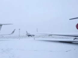 Снегопады в Украине: Аэропорт "Жуляны" работает в штатном режиме