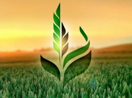 В "Аграрном фонде" исчезло зерно на 18 миллионов