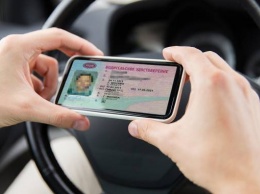 В России можно будет ездить без водительского удостоверения