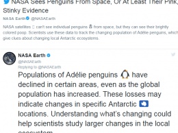 В Антарктиде спутнику нашли "столицу" пингвинов, которой 3 000 лет