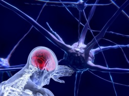 Ученые нашли нейроны, отвечающие за продолжительную боль
