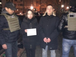 Студентов одесских общежитий потчевали наркотической «Сибирью» из Голландии