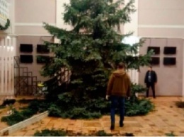 Скандал: Возле театра в Запорожье срубили елки