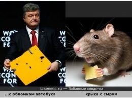 «Порошенко - Крыса»: хочет войны с Россией, чтобы подмазать США