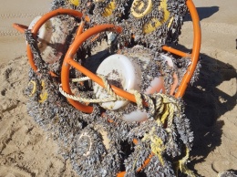 Утерянный подводный ровер NOC найден в Тасмании