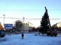 Уральский чиновник спилил новогоднюю елку на соседней улице и лишился должности