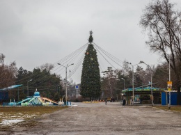 Новогодний Днепр: в парке Глобы завершена установка новогодней елки