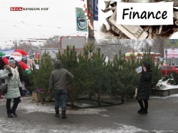 Выбор на новогодние деревья есть на Соцгороде в Кривом Роге - живые, синтетические или миниатюрные (цены)