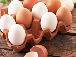 Куриные яйца «реабилитированы» диетологами