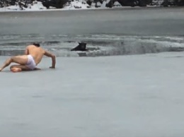 В Сумах ливанец чуть не погиб сам, спасая собаку из ледяной воды, но его жена успела позонить