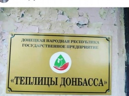 В Донецке показали гибель "детища" Захарченко (фото)