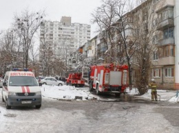 Во время пожара в Киеве спасли парня-инвалида и двух собак
