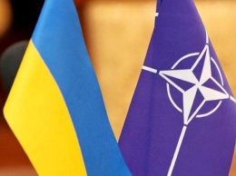 Комиссия Украина-НАТО на уровне министров обороны может собраться в феврале