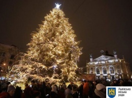 Во Львове открыли главную новогоднюю елку