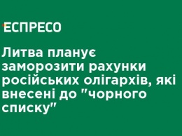 Литва планирует заморозить счета российских олигархов, внесенных в "черный список"