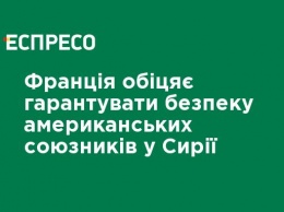 Франция будет гарантировать безопасность американских союзников в Сирии