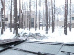 СМИ: Алексей Зиневич раздерибанил 10 земельных участков в Лесной Буче