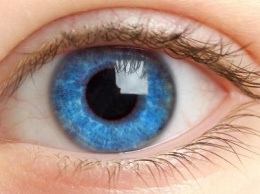 Ученые создали глазные капли, способные спасти от полной слепоты