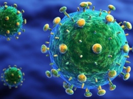 Бельгийские ученые заявили о создании вакцины против вируса Зика