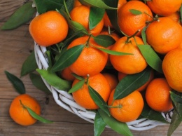 За несколько дней до Нового года в супермаркетах Украины могут подешеветь мандарины - эксперт