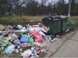 Бороздин рассказал, кто и когда уберет мусор в Керчи