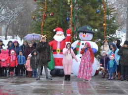 Дед Мороз и фейерверки: в воинской части Кривого Рога открыли новогоднюю елку