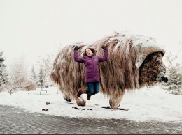 В канадском городе гигантскую скульптуру овцебыка назвали в честь Илона Маска