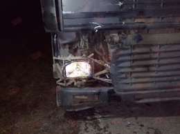 В Бердянском районе под колесами фуры погиб пешеход