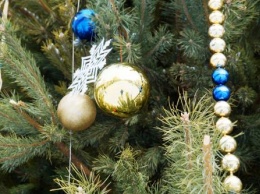 «С особым цинизмом»: В Вольске злоумышленники украли новогоднюю елку возле здания суда