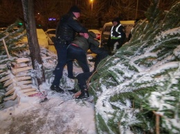 В Киеве попытка украсть елку закончилась в драку с ножами и топором (видео)