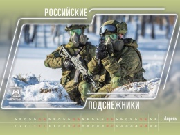 ''Тайное оружие Кремля'': Минобороны России облажалось с новогодним календарем