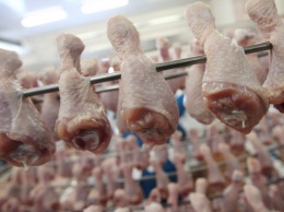 Украина станет крупнейшим экспортером мяса: возобновила поставки