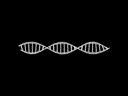 Раскрыт секрет контроля репликации ДНК