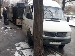 Полихачил: на бульваре Шевченко автобус подпер маршрутку и та врезалась в дерево и