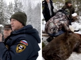Иркутский губернатор застрелил на охоте спящего медведя. Есть даже видео