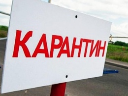 В части Киева объявлен карантин из-за бешенства