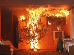 Елочка гори: как уберечь дом от "новогоднего" пожара