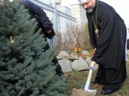 Глава УГКЦ призывает не ставить живые елки на Новый год и Рождество