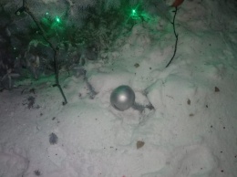 Новогоднюю елку разгромили в Харьковской области (фото)