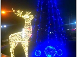 В центре Кирилловки появился светящийся олень