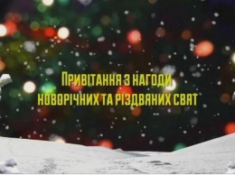 Савченко и местная команда Порошенко поздравляют жителей Николаевщины с Новым годом. И теперь там есть Сенкевич