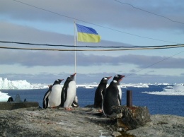 В ЦИК объяснили, как будут голосовать на выборах моряки в плавании и полярники