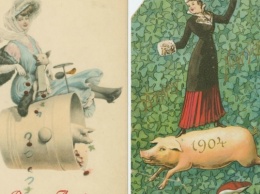 Забавные ретро-открытки со свиньями