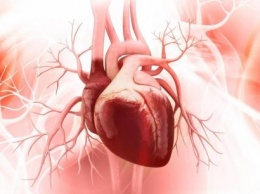 Смертность от болезней сердца зимой увеличивается на 50%
