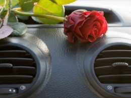 Ученые: освежители воздуха с ароматом роз в машинах уменьшают количество аварий
