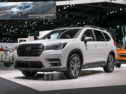 Subaru Ascent может появиться в России