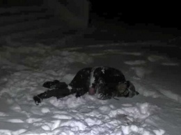 Избитого и замерзшего мужчину нашли в городе на Харьковщине (фото)